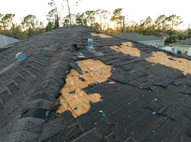 Best Roof Ventilation Installation  in Northview, MI